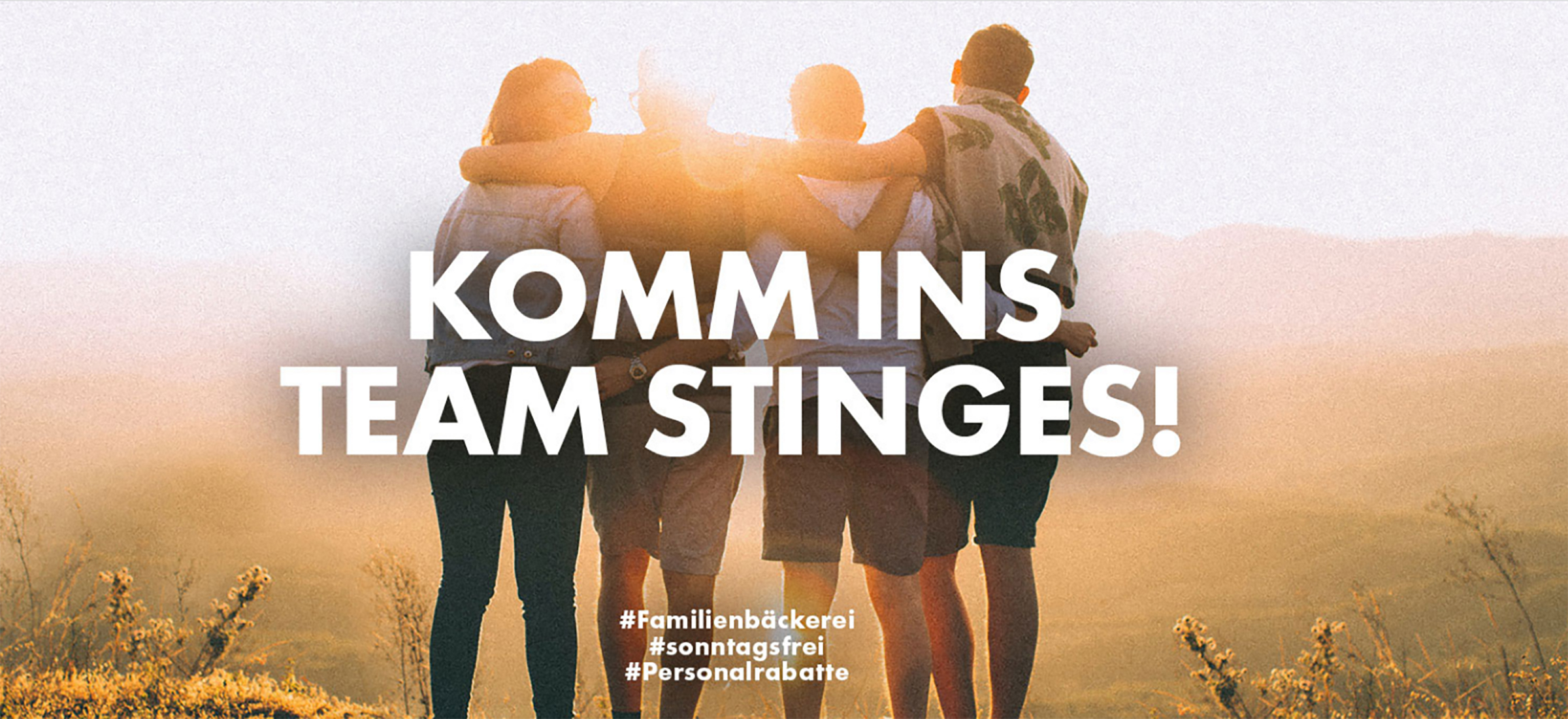 Stinges_Header